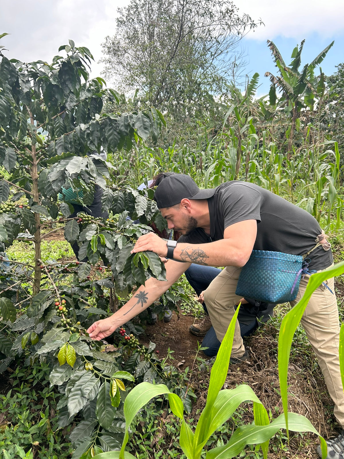 Mexico Oaxaca, “La Cañada” Medium Roast