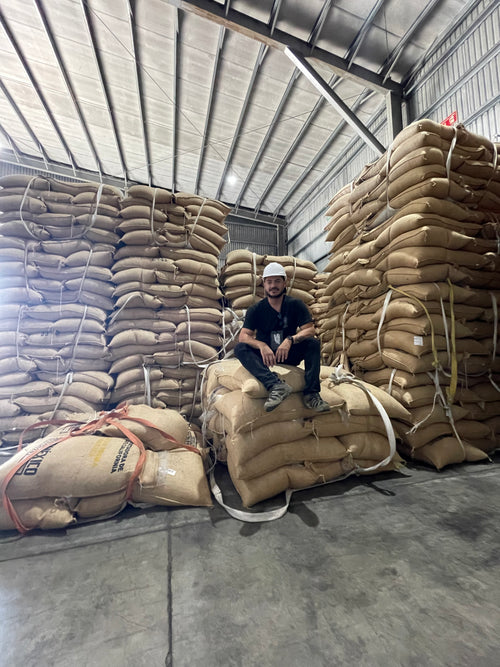 Mexico Chiapas Medium/Dark Roast.